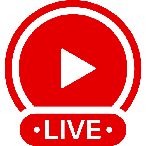 Without Panties | Live Webcam Shows & Interactive Adult Entertainment